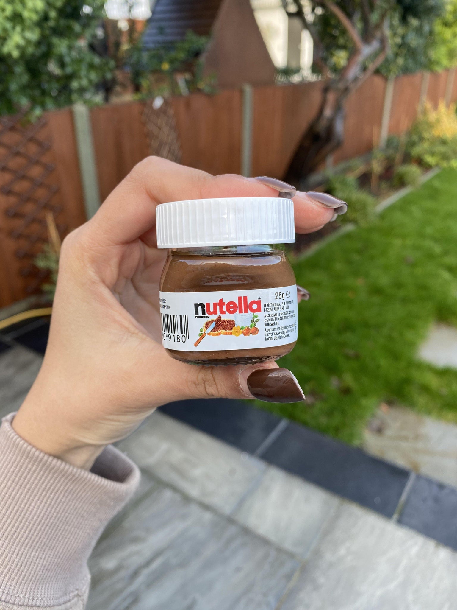 Nutella Mini Jars 25g